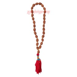 2 Mukhi Java Rudraksha Jaap Mala - 24+1 Beads / Rudraksh Jaap Mala